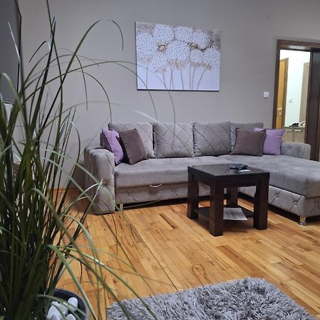 Apartmani Radulovic Vrnjačka Banja Quarto foto