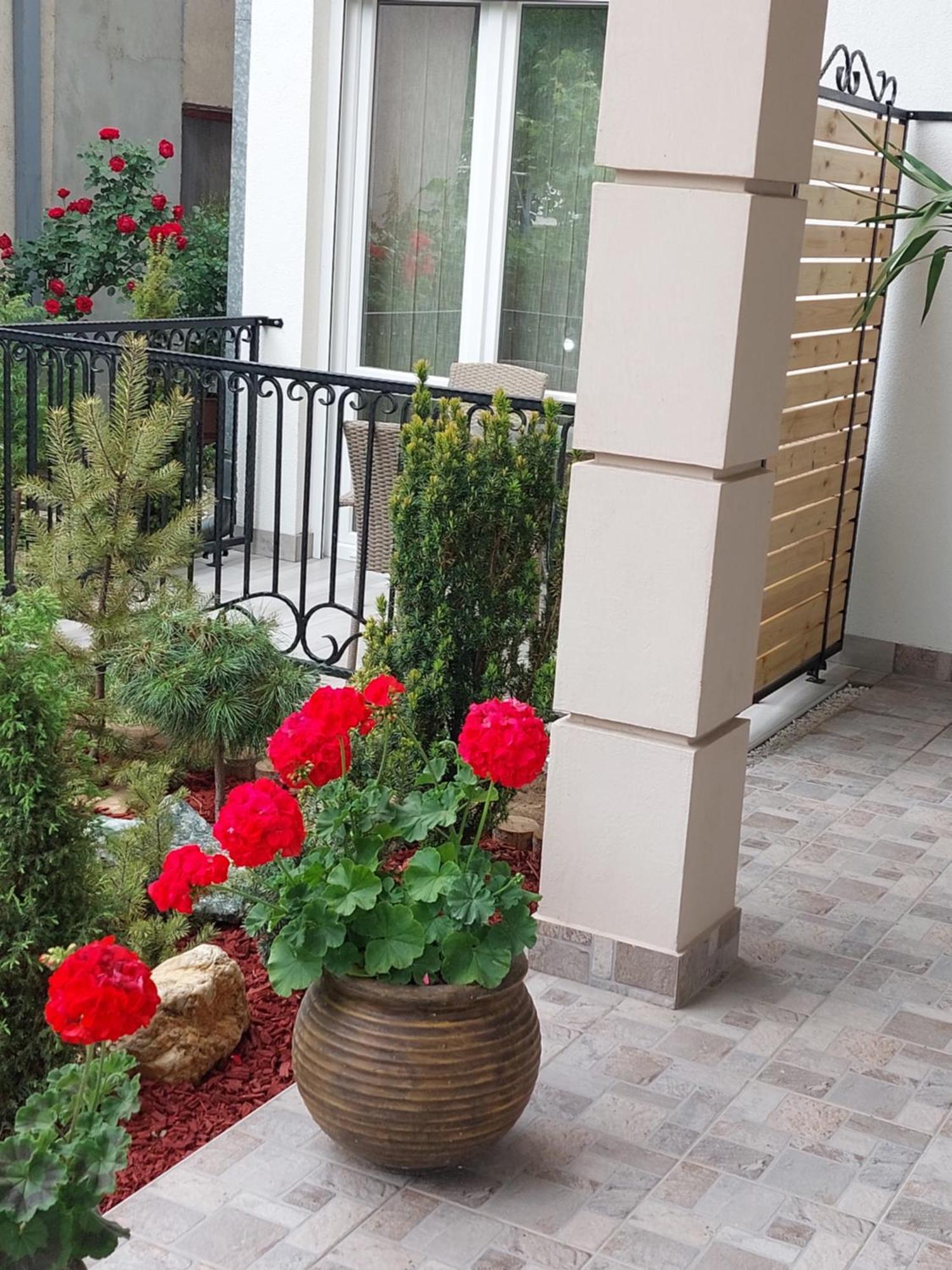 Apartmani Radulovic Vrnjačka Banja Quarto foto
