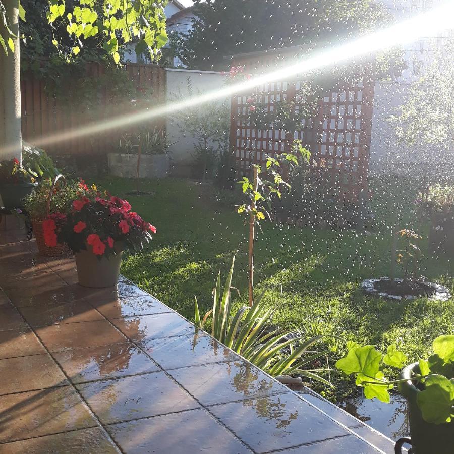 Apartmani Radulovic Vrnjačka Banja Exterior foto
